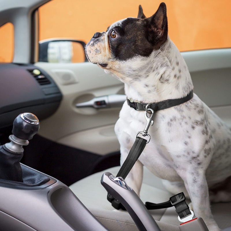 Zestaw samochodowych szelk dla – Snap Fastener Setter recenzja i cena